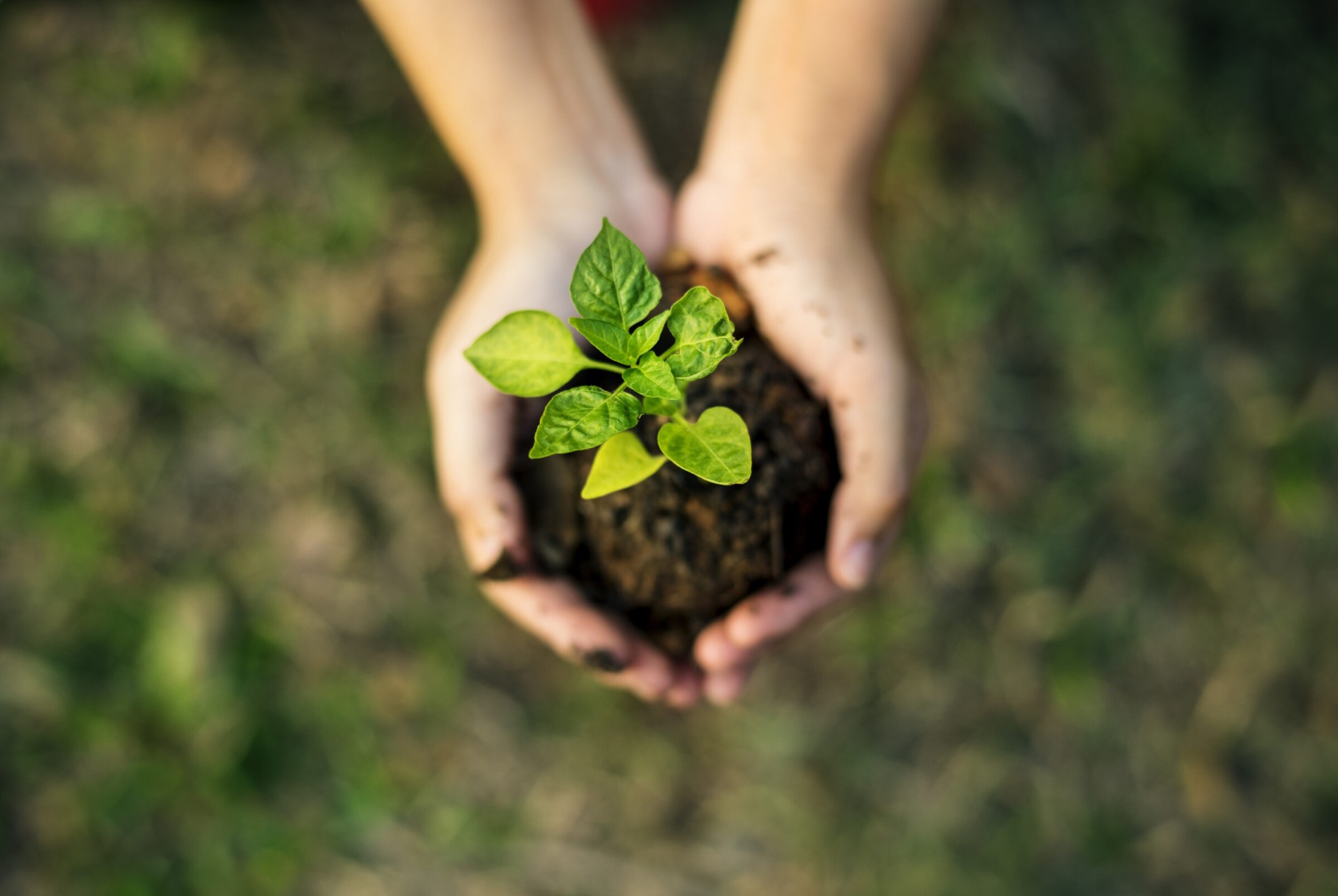 Environmental — Law Safety Services